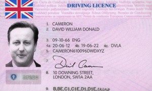 David Cameron spoof driving licence